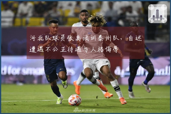 河北队球员张禹试训泰州队，自述遭遇不公正待遇与人格侮辱