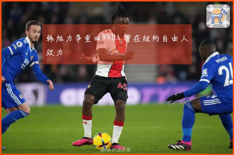 韩旭力争重回WNBA 曾在纽约自由人效力