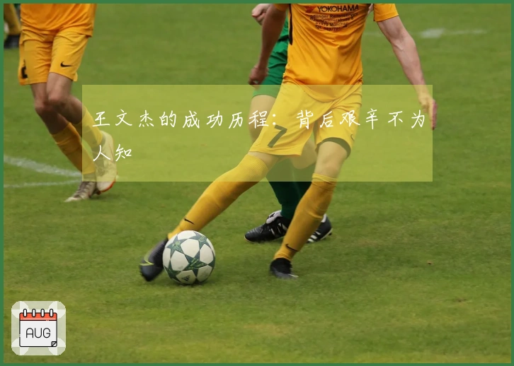 王文杰的成功历程：背后艰辛不为人知