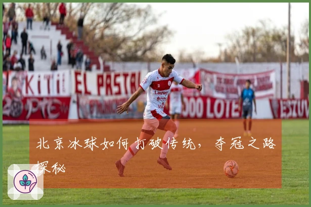 北京冰球如何打破传统，夺冠之路探秘