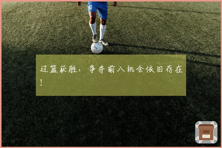 辽篮获胜，争夺前八机会依旧存在！