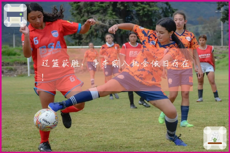 辽篮获胜，争夺前八机会依旧存在！