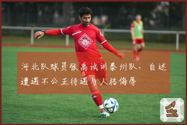 河北队球员张禹试训泰州队，自述遭遇不公正待遇与人格侮辱