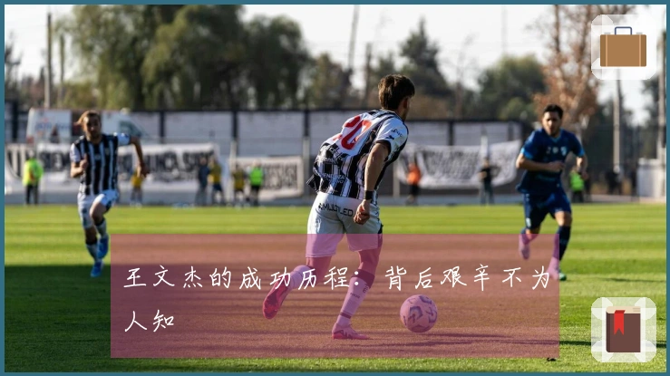 王文杰的成功历程：背后艰辛不为人知